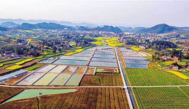 河北省政府出臺《關(guān)于做大做強農(nóng)業(yè)產(chǎn)業(yè)化龍頭企業(yè)的意見》，提出河北省農(nóng)業(yè)產(chǎn)業(yè)化發(fā)展目標