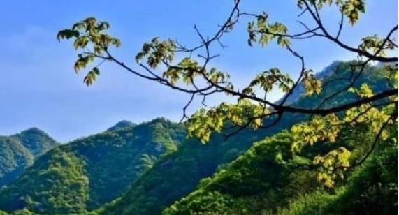 陜西省政府：印發(fā)《秦嶺生態(tài)環(huán)境保護(hù)行動方案》，持之以恒有效保護(hù)秦嶺這一國家重要生態(tài)安全屏障