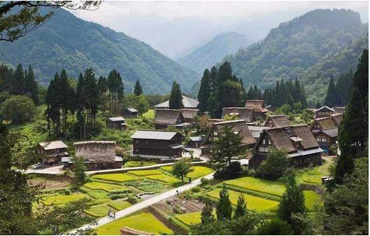 國務(wù)院：推動貧困地區(qū)產(chǎn)品和服務(wù)融入全國大市場，助力打贏脫貧攻堅戰(zhàn)、推進實施鄉(xiāng)村振興戰(zhàn)略?