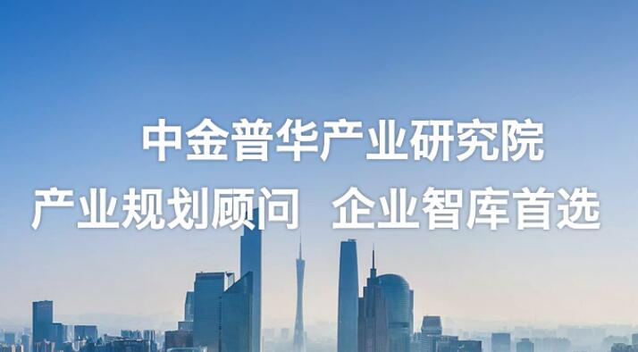 湖南衡陽-鋰離子動力電池建設(shè)項(xiàng)目可行性研究報告案例