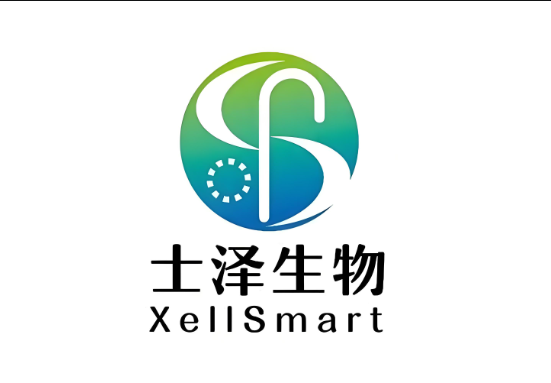 士澤生物醫(yī)藥完成逾億元B1輪市場化融資，泰瓏/泰鯤資本領(lǐng)投