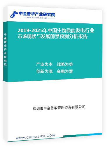 2019-2025年中國(guó)生物質(zhì)能發(fā)電行業(yè)市場(chǎng)現(xiàn)狀與發(fā)展前景預(yù)測(cè)分析報(bào)告